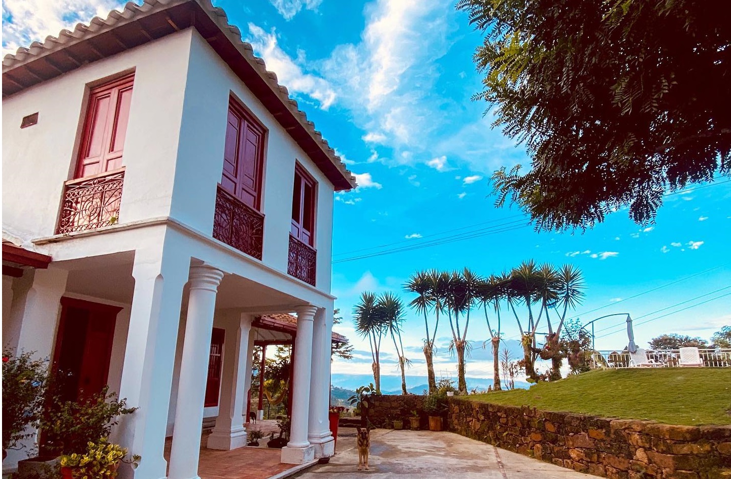 COFFEE TOUR-HACIENDA CASA BLANCA