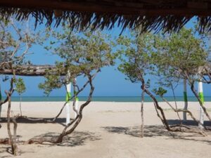 DE TOUR POR LA GUAJIRA