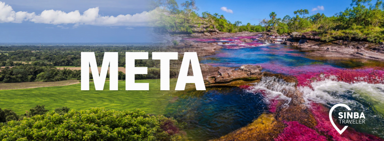 Meta