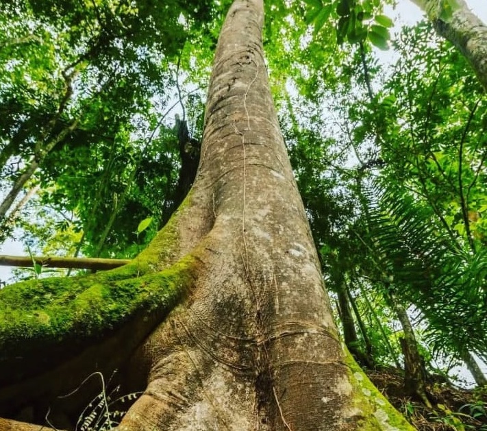 EL REMANSO - EXPERIENCIA TIERRA