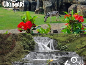 UKUMARÍ + TERMALES DE SANTA ROSA