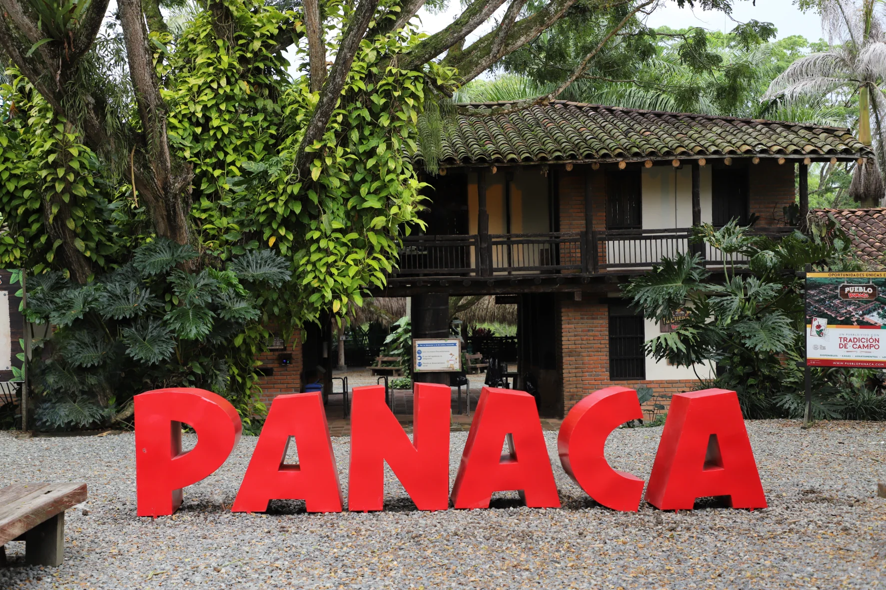 PANACA