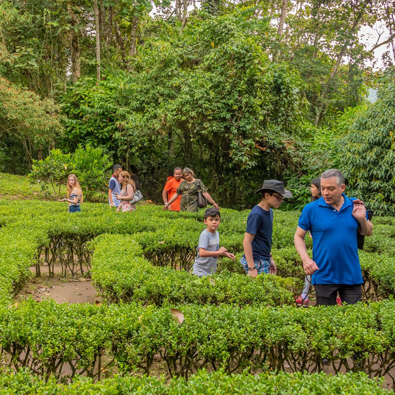 MARIPOSARIO - CALARCÁ - Imagen 3