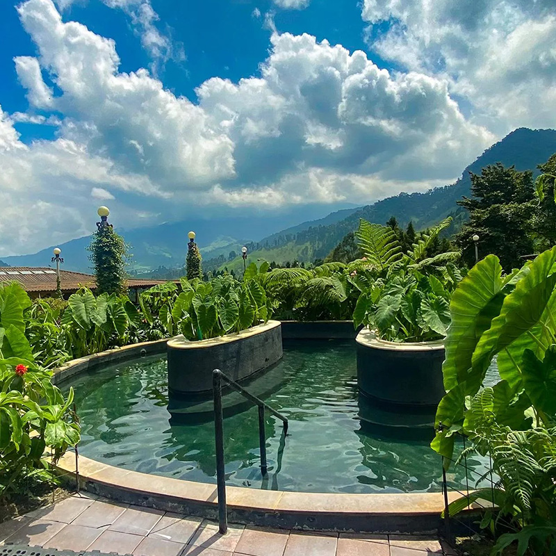 Ecotermales el otoño