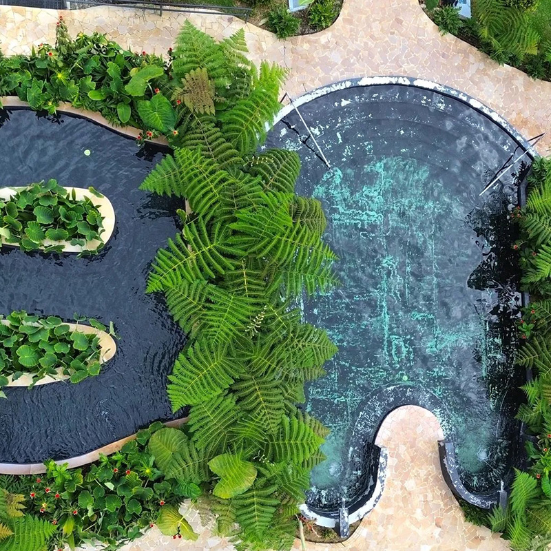 ECOTERMALES EL OTOÑO - Imagen 3