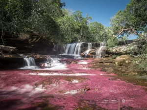 PLAN EXPLORADOR (3 DÍAS) - CAÑO CRISTALES