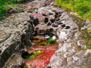 PLAN AVENTURERO (5 DÍAS) - CAÑO CRISTALES