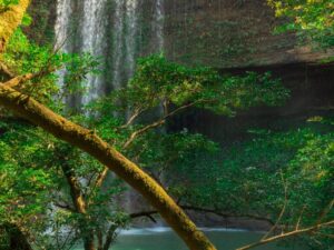5 MARAVILLAS + TELARES DE CRISTAL (1 NOCHE)