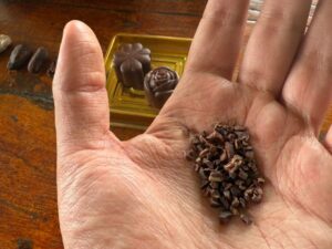 TOUR CACAO + INMERSION CHOCOLATE + 5 MARAVILLAS (2 NOCHES)