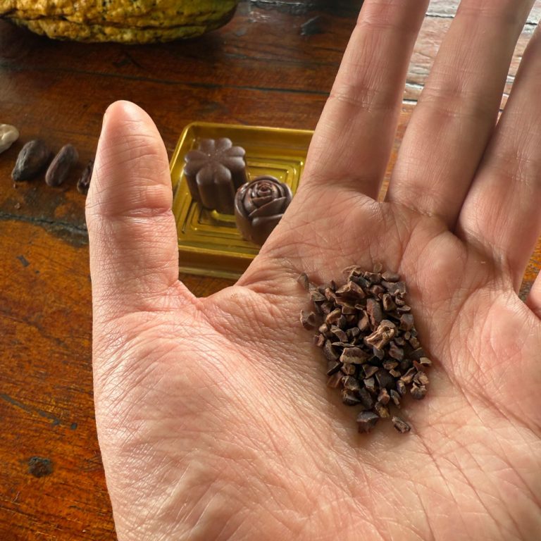 TOUR CACAO + INMERSION CHOCOLATE + 5 MARAVILLAS (2 NOCHES)