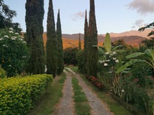 ECOHOTEL LA FLORESTA