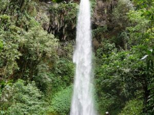 RESERVA UCUMARI LA PASTORA Y CASCADA SANTA LUCIA
