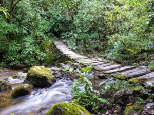 RESERVA NATURAL SALENTO