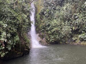 RUTA ALTO DEL NUDO - CASCADA DEL CHAQUIRO
