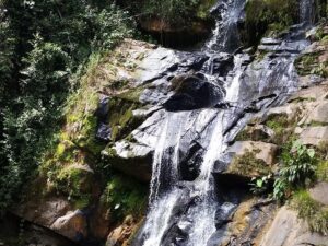 RESERVA NATURAL HORTENSIAS - CASCADA DE LA ARGENTINA