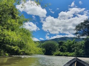 FULL DAY CONEXIÓN NATURAL