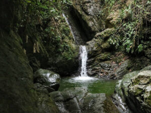 ESTACION PEREIRA - CASCADA LOS MICOS