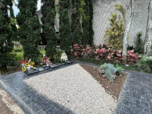 DE LA SERIE A LA REALIDAD